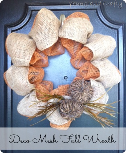 Deco Mesh Fall Wreath